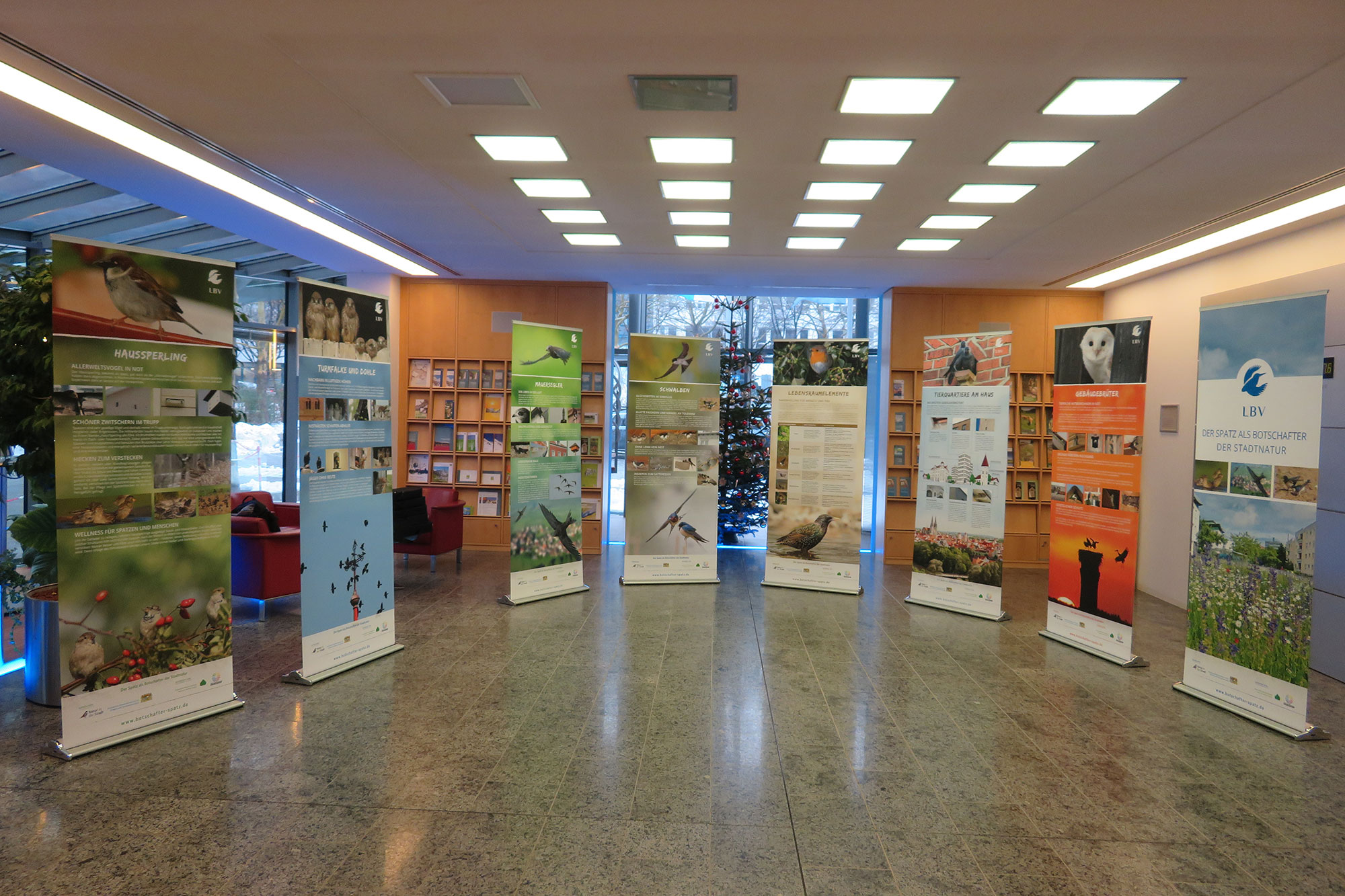 Wanderausstellung über Gebäudebrüter des Projekts Botschafter Spatz, bestehend aus acht Aufstellern. Die Aufsteller stehen in einem Halbkreis in einem geschlossenen Raum und behandeln verschiedene Themengebiete | © Lorena Heilmeier